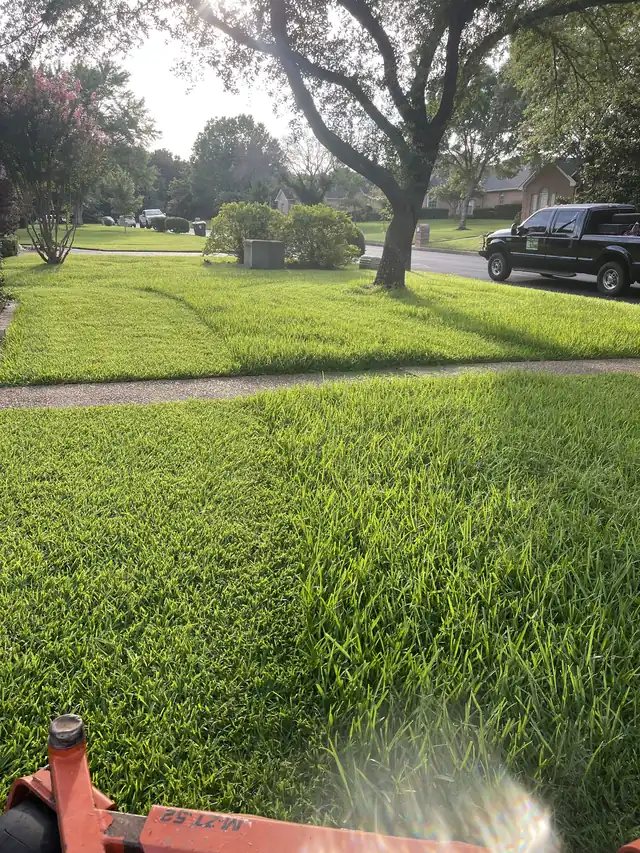 Fresh mowing stripes across a Tyler front lawn, seen from the zero-turn seat